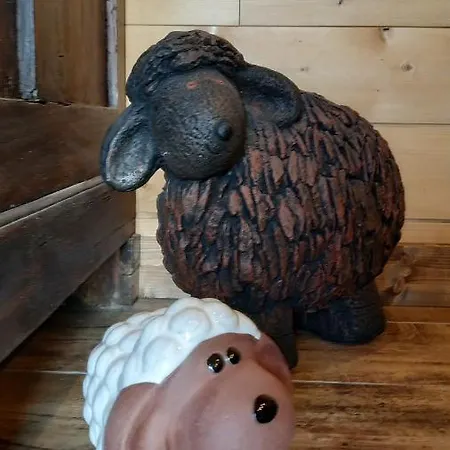 Chalet Des 2 Moutons